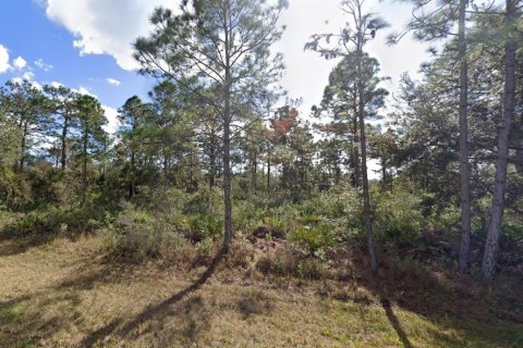 Terreno en venta en Indian lake estates, Florida № 2197420 - foto 3