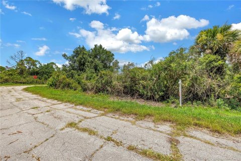 Land in North Port, Florida № 2224694 - photo 15