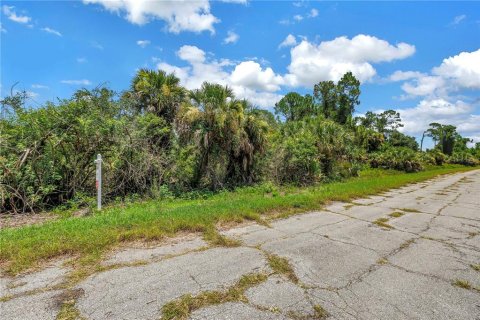 Land in North Port, Florida № 2224694 - photo 16