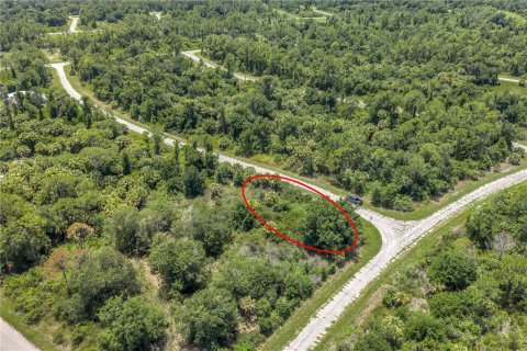 Land in North Port, Florida № 2224694 - photo 10