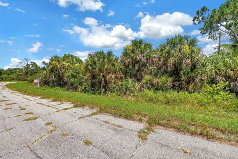 Land in North Port, Florida № 2224694 - photo 18