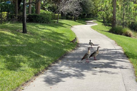 Снять в аренду кондоминиум в Холливуд, Флорида 1 спальня, 72м2, № 2028055 - фото 17
