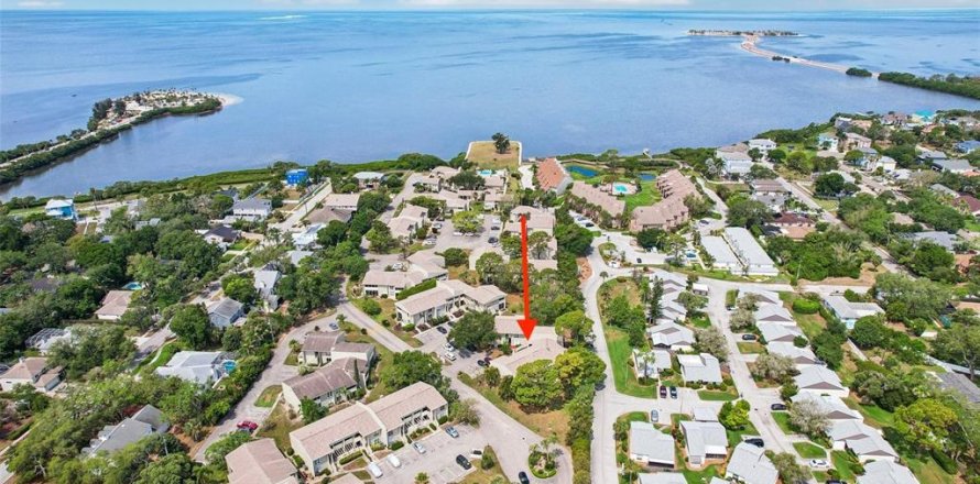 Condo à Tarpon Springs, Floride, 2 chambres № 2149686