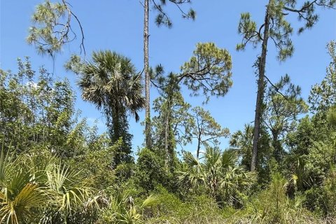 Terrain à North Port, Floride № 2158717