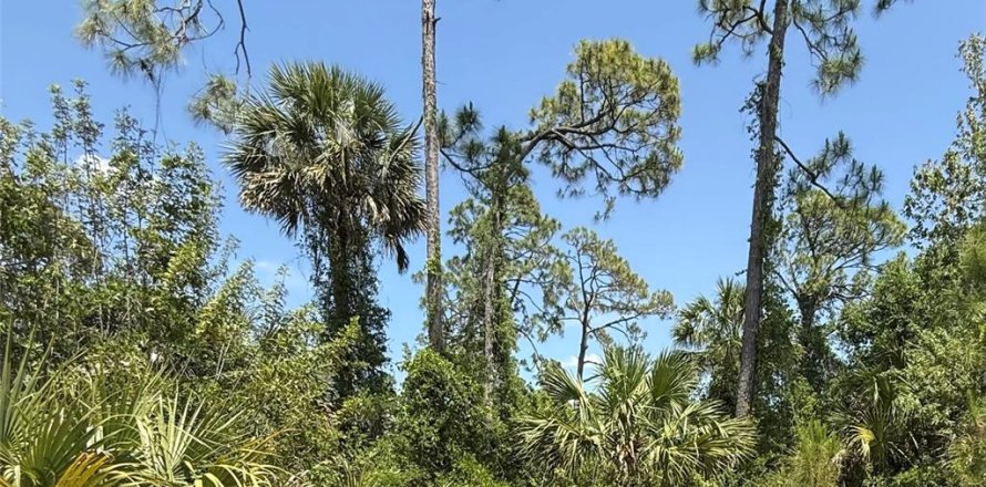 Terrain à North Port, Floride № 2158717