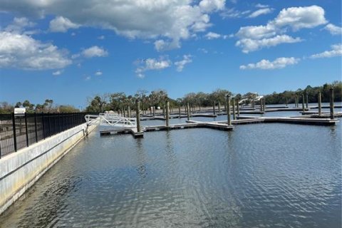 Land in Palm Coast, Florida № 2106610 - photo 9