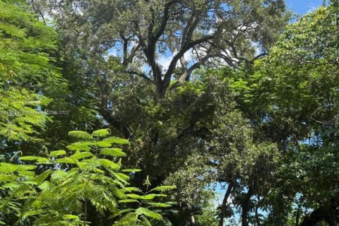 Terreno en venta en North Miami, Florida № 1981890 - foto 6