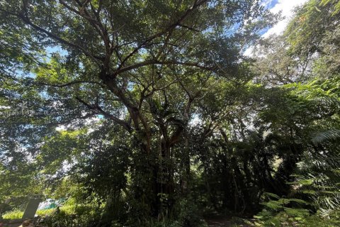 Terreno en venta en North Miami, Florida № 1981890 - foto 3