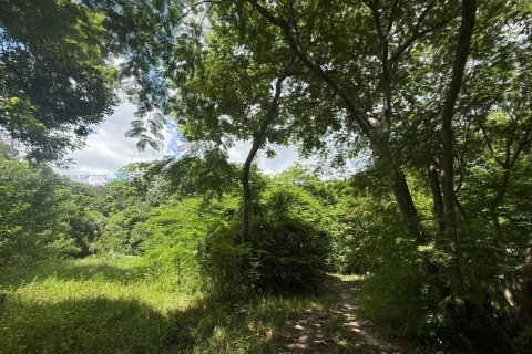 Terreno en venta en North Miami, Florida № 1981890 - foto 1