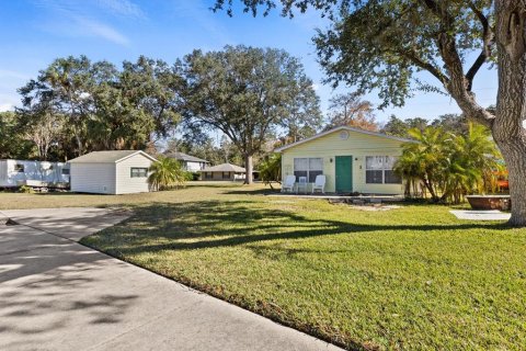 Terreno en venta en Weeki Wachee, Florida № 916856 - foto 9