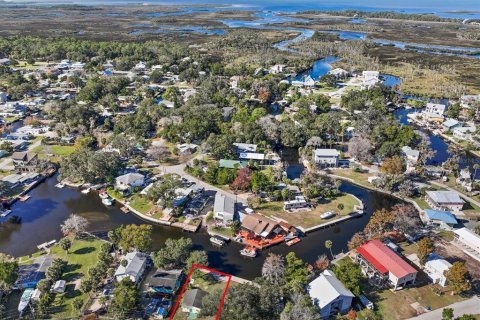 Terreno en venta en Weeki Wachee, Florida № 916856 - foto 7