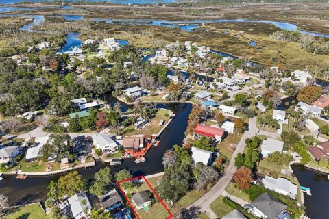 Terreno en venta en Weeki Wachee, Florida № 916856 - foto 6