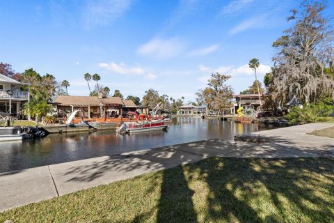 Terreno en venta en Weeki Wachee, Florida № 916856 - foto 10