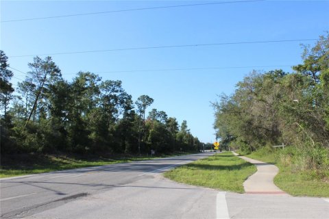 Terreno en venta en Deltona, Florida № 485496 - foto 5