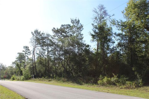 Terreno en venta en Deltona, Florida № 485496 - foto 6