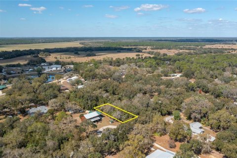 Land in Lake Wales, Florida № 2159708 - photo 4