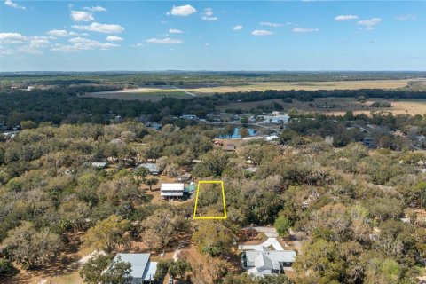 Land in Lake Wales, Florida № 2159708 - photo 5