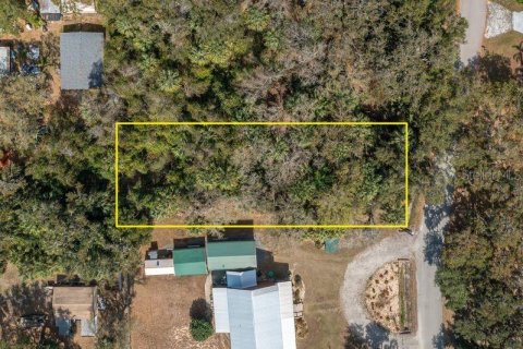 Land in Lake Wales, Florida № 2159708 - photo 3