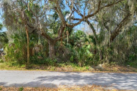 Land in Lake Wales, Florida № 2159708 - photo 2