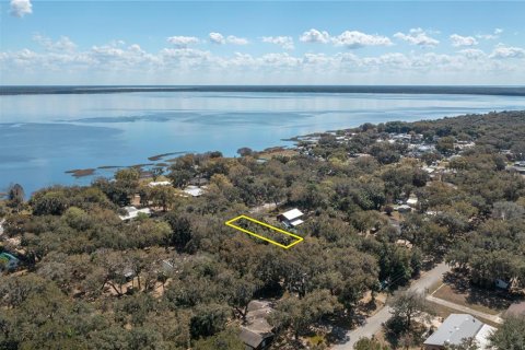 Land in Lake Wales, Florida № 2159708 - photo 6