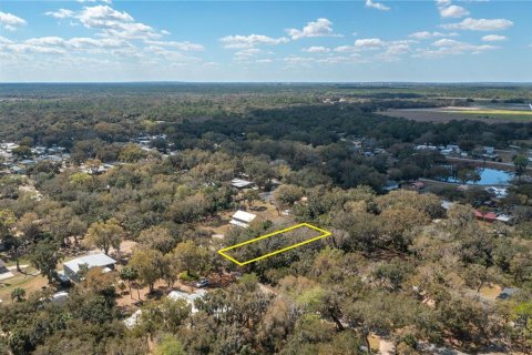 Land in Lake Wales, Florida № 2159708 - photo 9