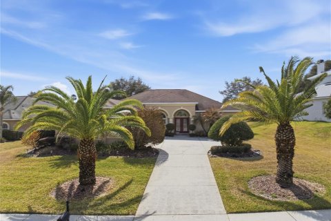 Villa ou maison à Dade City, Floride 3 chambres, 198.25 m2 № 2100070