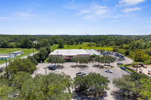 Land in Brooksville, Florida № 1888581 - photo 16