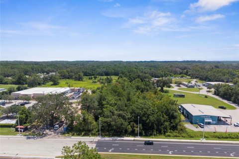 Land in Brooksville, Florida № 1888581 - photo 5