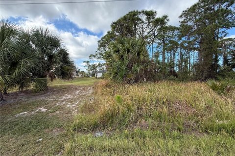 Land in North Port, Florida № 2159891 - photo 3