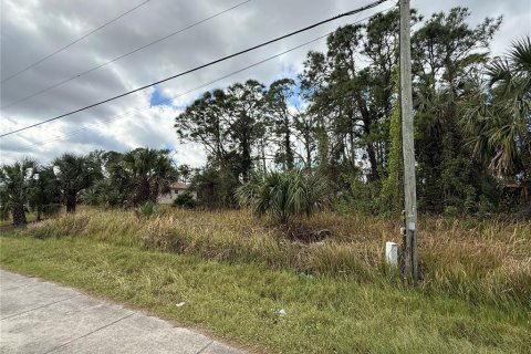 Land in North Port, Florida № 2159891 - photo 4