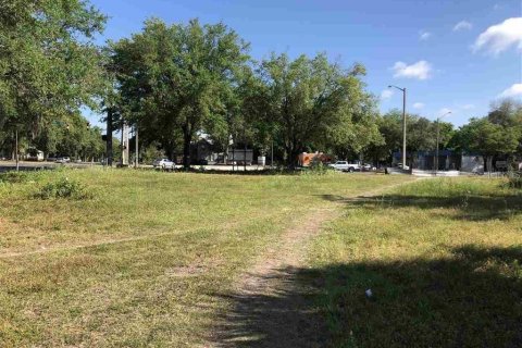 Immobilier commercial à Gainesville, Floride № 2214418