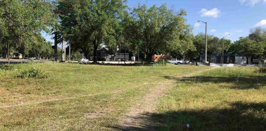 Commercial property in Gainesville, Florida № 2214418