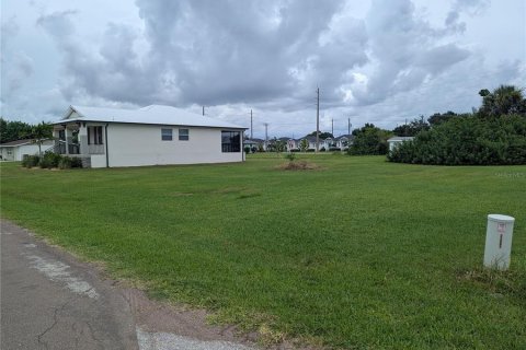 Terrain à Punta Gorda, Floride № 2272912