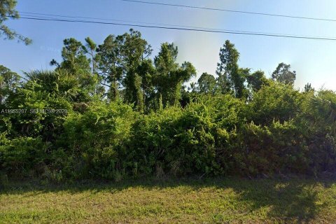 Купить земельный участок в Порт-Шарлотт, Флорида № 2010979 - фото 1