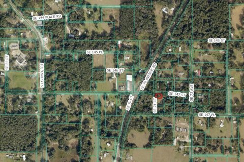 Land in Summerfield, Florida № 2165115 - photo 3