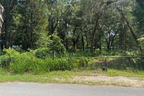 Land in Trenton, Florida № 2162253