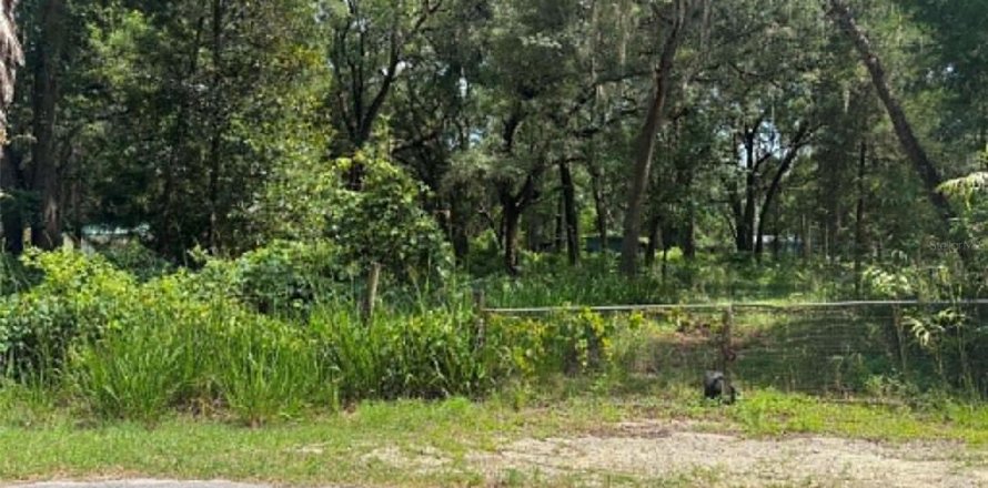 Terrain à Trenton, Floride № 2162253