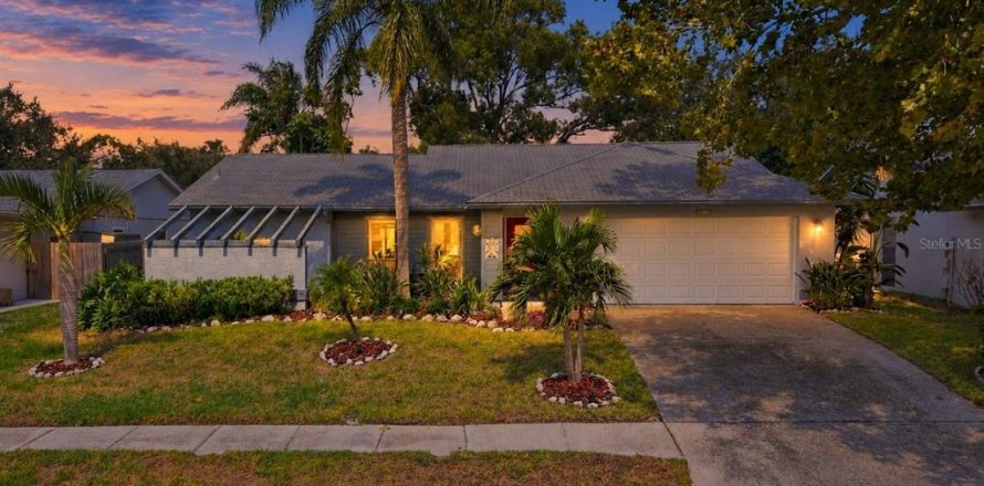 Villa ou maison à Palm Harbor, Floride 4 chambres, 158.96 m2 № 2419182