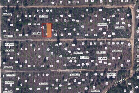 Купить земельный участок в Интерлакен, Флорида № 2159472 - фото 2