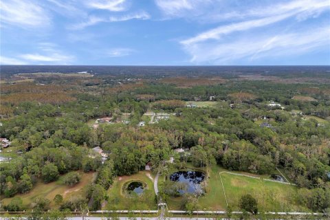 Terrain à Tarpon Springs, Floride № 2148745