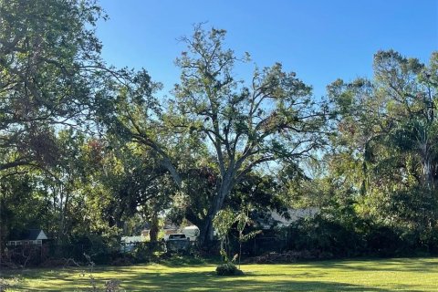 Land in Sarasota, Florida № 1534646 - photo 1