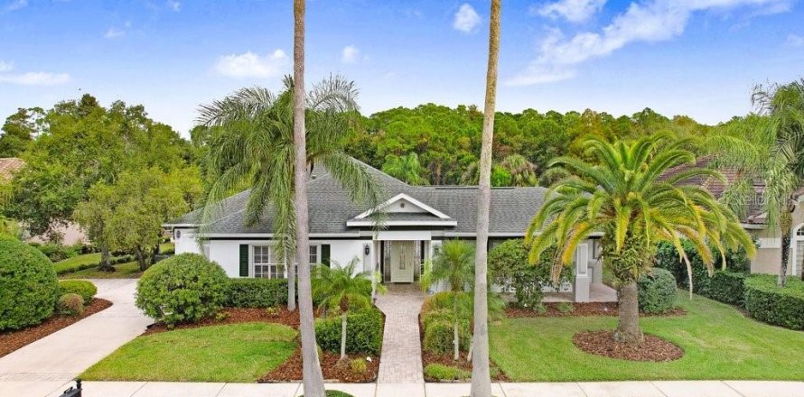 House in Tampa, Florida 4 bedrooms, 263.38 sq.m. № 2097547