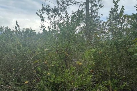 Land in Christmas, Florida № 854777 - photo 6