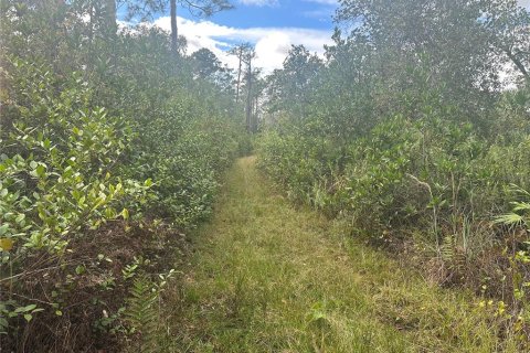 Land in Christmas, Florida № 854777 - photo 2