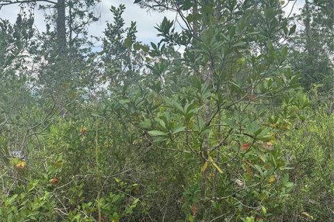 Land in Christmas, Florida № 854777 - photo 7