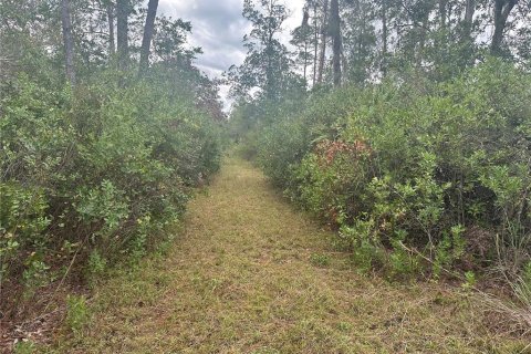 Land in Christmas, Florida № 854777 - photo 3