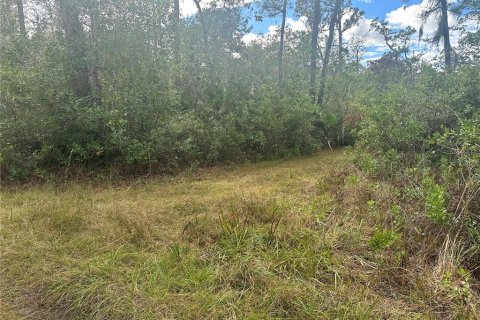Land in Christmas, Florida № 854777 - photo 1