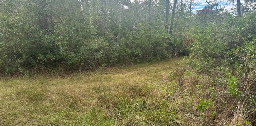Land in Christmas, Florida № 854777