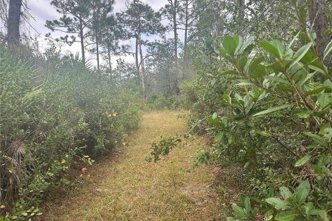 Land in Christmas, Florida № 854777 - photo 5