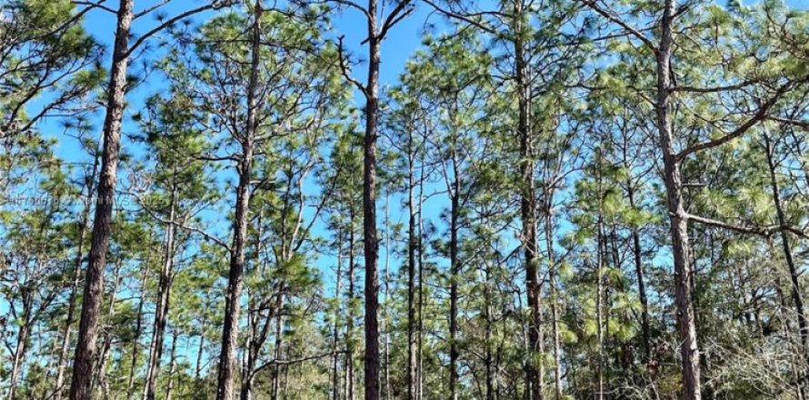 Land in Ocala, Florida № 1860531